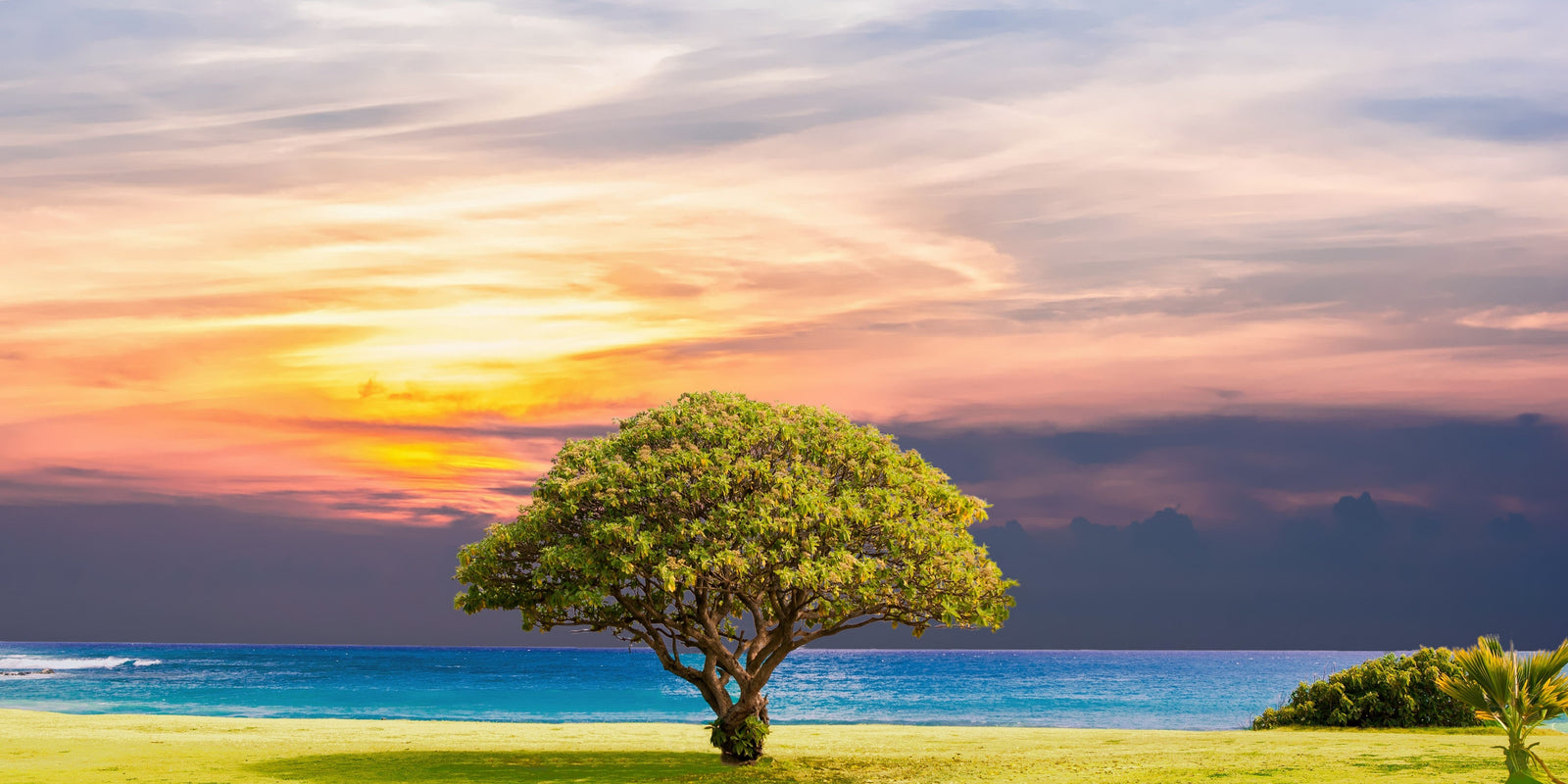 How to Find Your Signature Wood Fragrance Blog Image