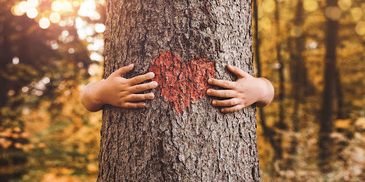 Unwrapping the Magic of Wood Scents blog image by Scents of Wood