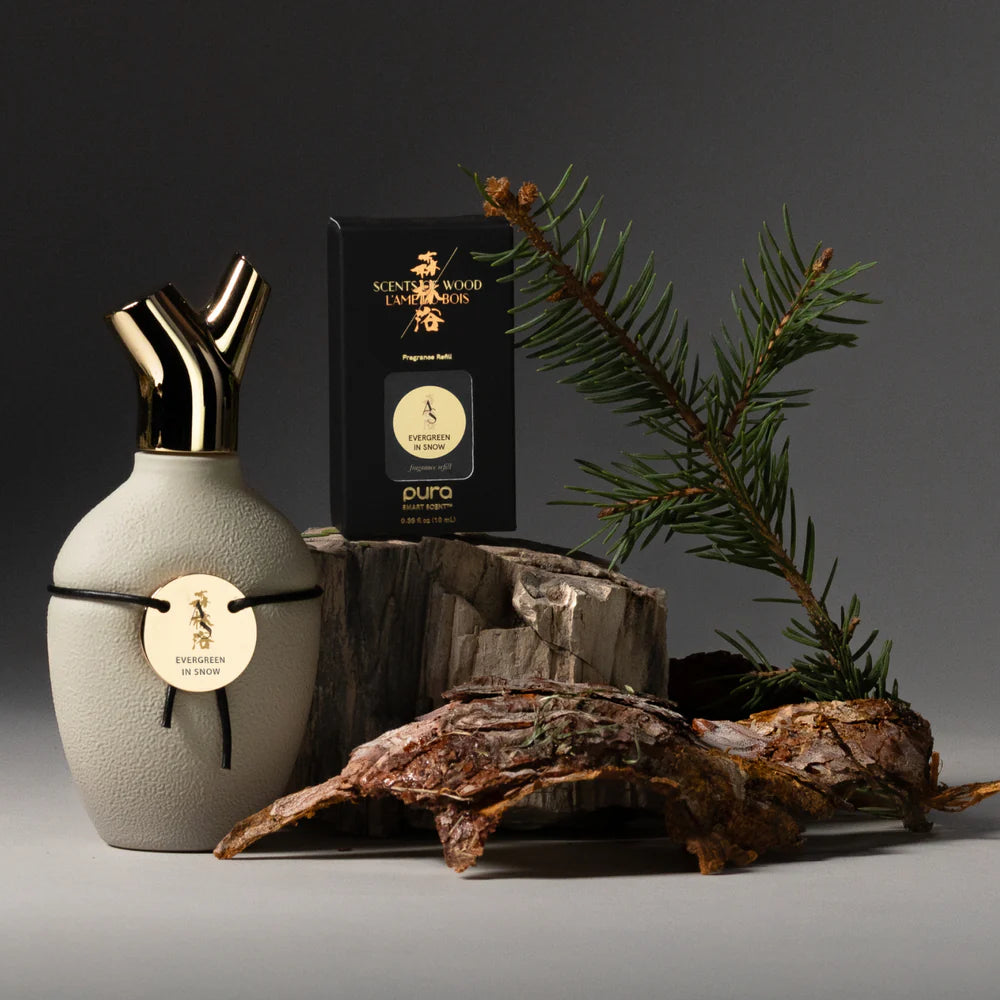 Plum in Cognac - Prunier en Cognac - Scents Of Wood