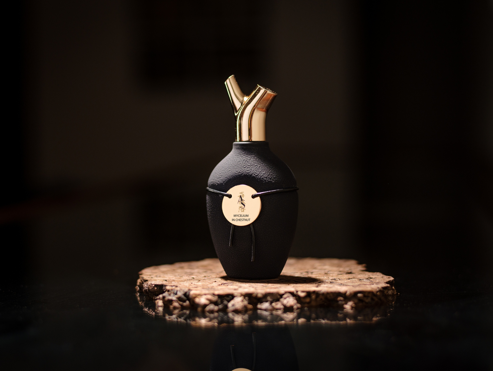 Mycelium in Chestnut